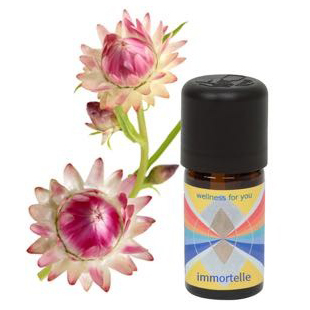 Immortelle - Helichrysum angustifolium