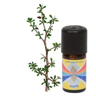 Myrrhe - Commiphora Myrrha