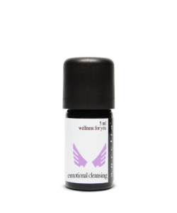 emotional cleansing - Emotionale Reinigung von aurelialex