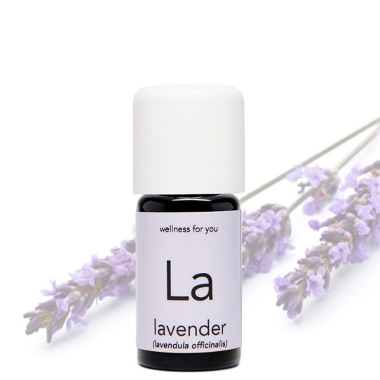 Lavendel - lavendula officinalis