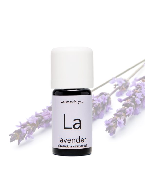 Lavendel - lavendula officinalis