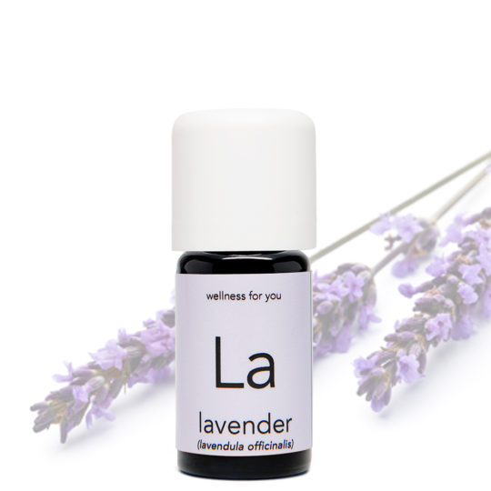 Lavendel alpin - Lavendula officinalis