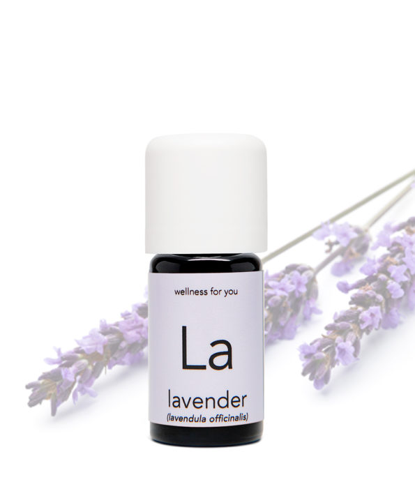 Lavendel alpin - Lavendula officinalis