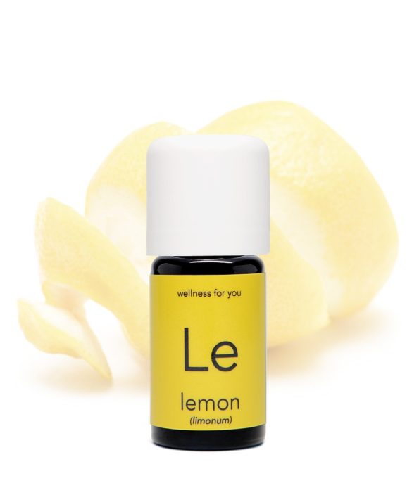 Zitrone - citrus limonum