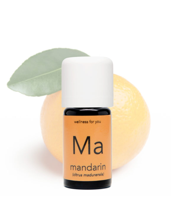 Mandarine, rot - Citrus madurensis