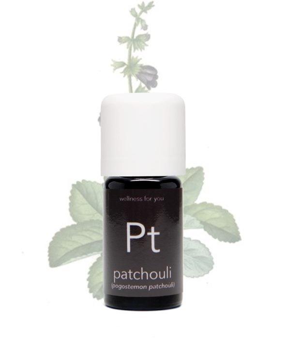 Patchouli - pogostemon patchouli