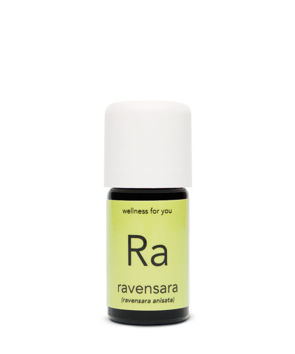 Ravensara - Ravensara anisata