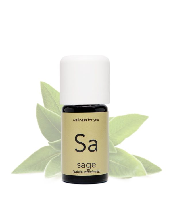 Salbei - salvia officinalis