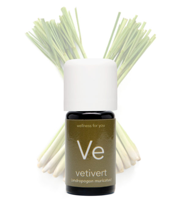 Vetivert - Andropogon muricatus