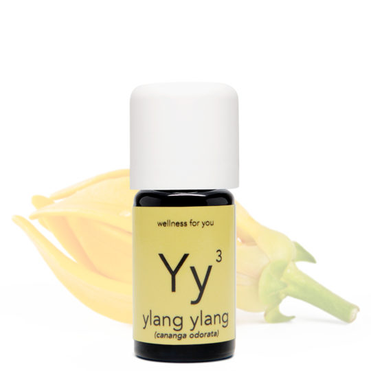 Ylang Ylang - cananga odorata