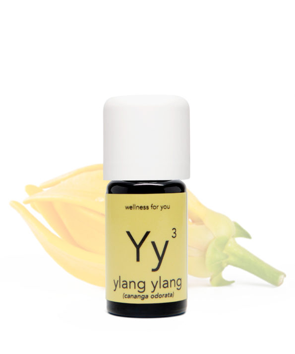 Ylang Ylang - cananga odorata